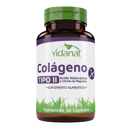 Colageno Tipo II Acido Hialuronico Magnesio 30 Cap