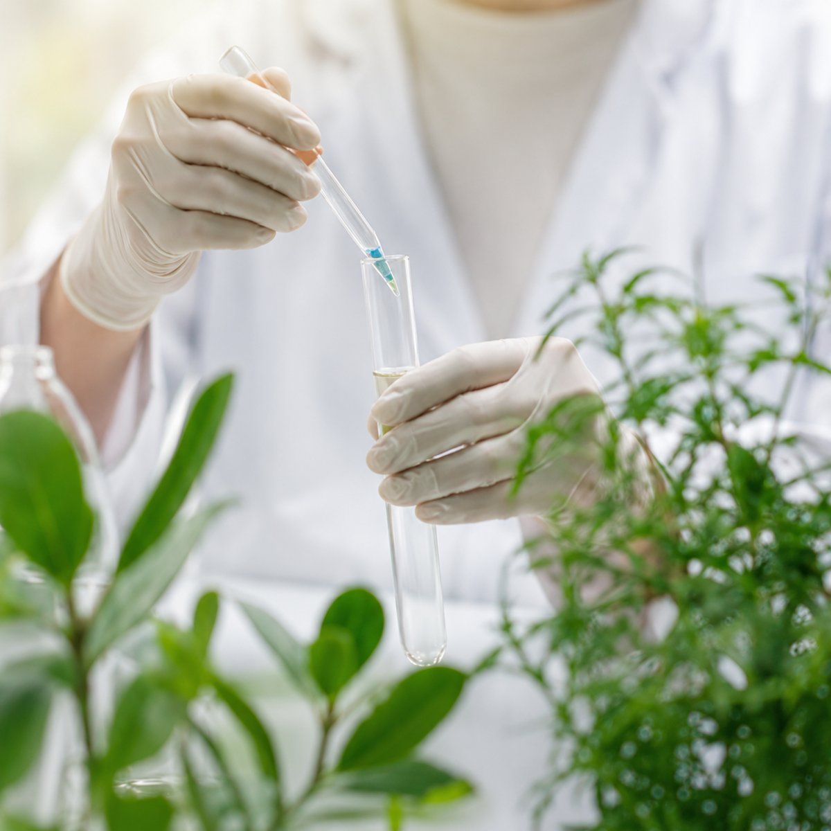 Laboratorio con ingredientes naturales Vidanat