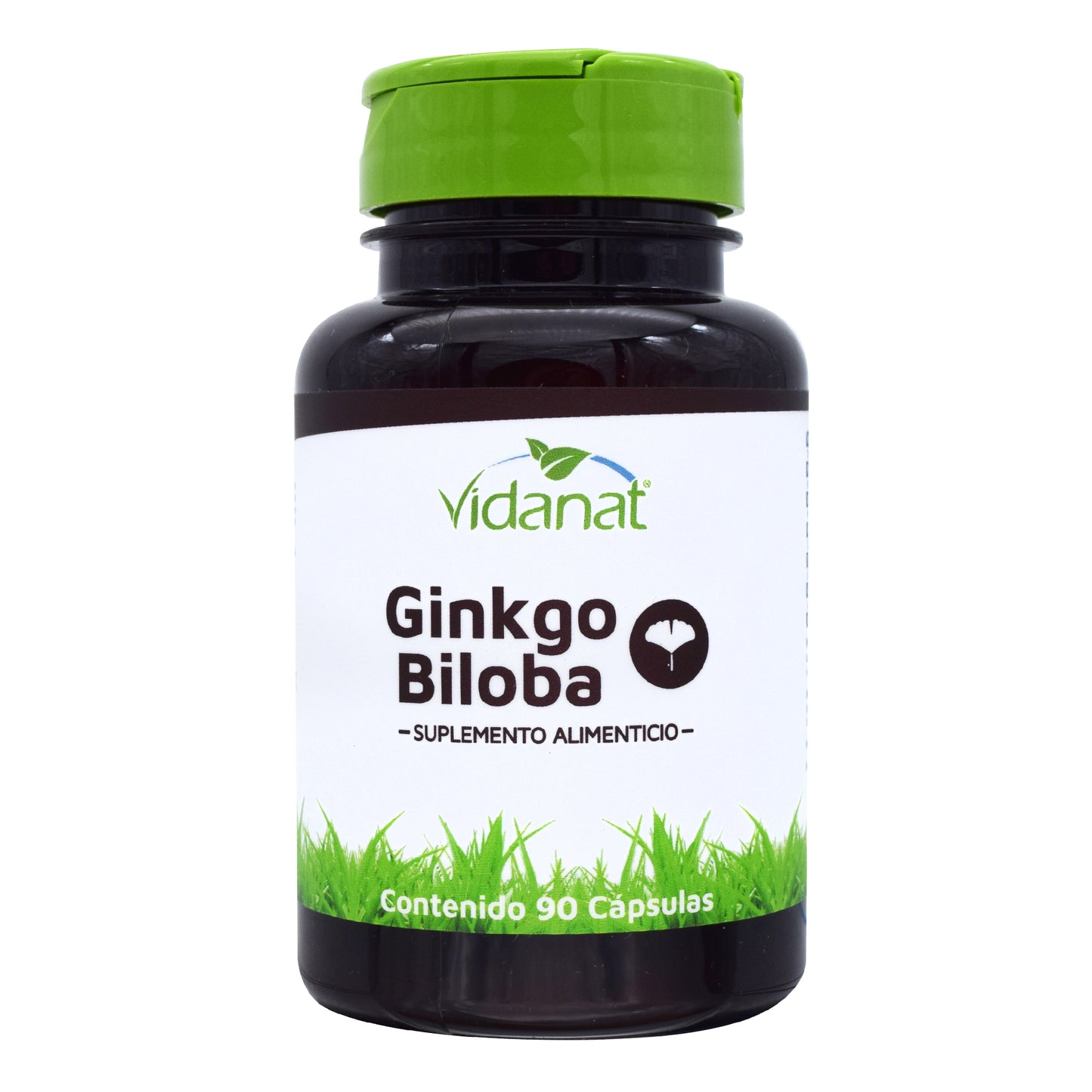 Ginkgo Biloba 90 Cap