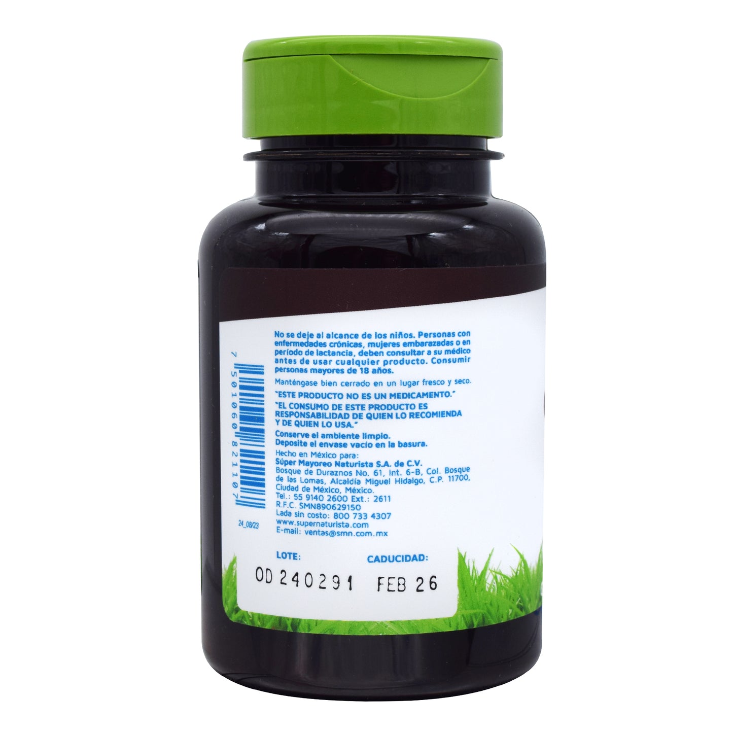 Ginkgo Biloba 90 Cap