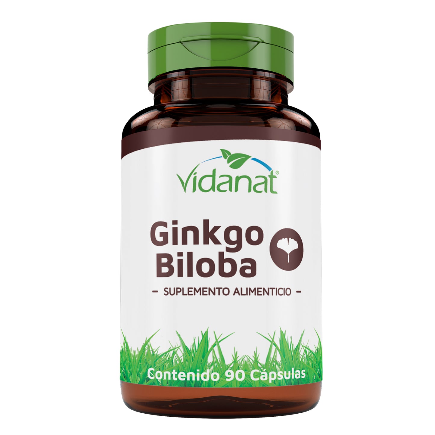 Ginkgo Biloba 90 Cap